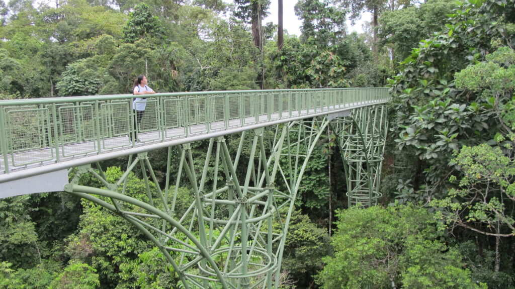 Rainforest Discovery Centre in Sandakan, Sabah, surrounded by lush tropical rainforest Rainforest Discovery Centre in Sandakan, Sabah, surrounded by lush tropical rainforest